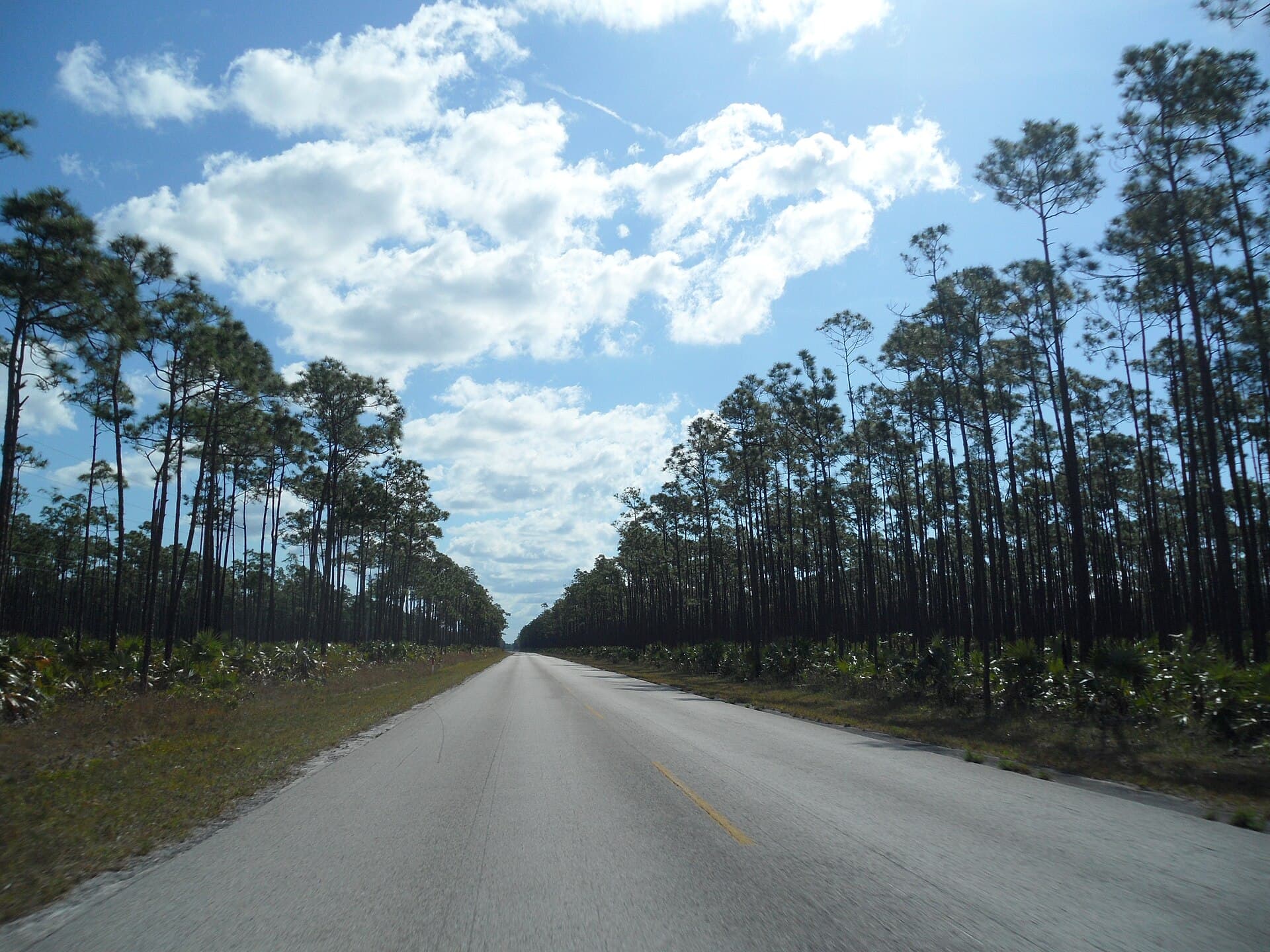 A coast road on a Caribbean island